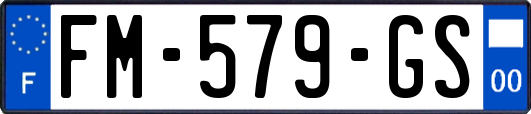 FM-579-GS