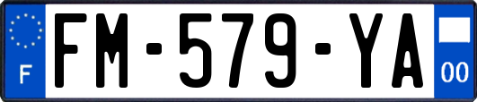 FM-579-YA