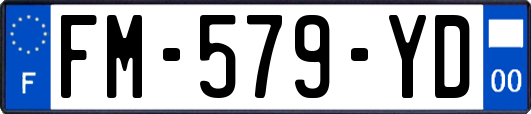 FM-579-YD