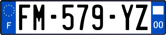 FM-579-YZ