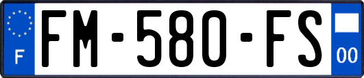FM-580-FS