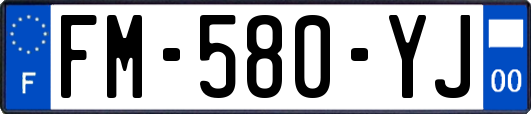 FM-580-YJ