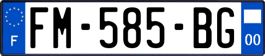 FM-585-BG