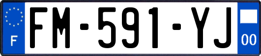 FM-591-YJ