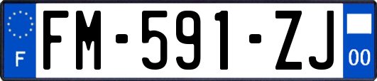 FM-591-ZJ