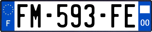 FM-593-FE