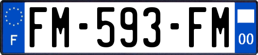 FM-593-FM