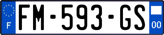 FM-593-GS