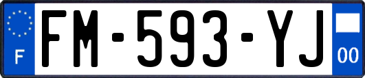FM-593-YJ