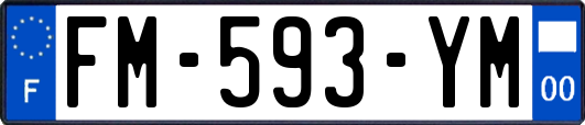 FM-593-YM