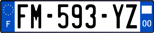 FM-593-YZ