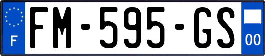 FM-595-GS