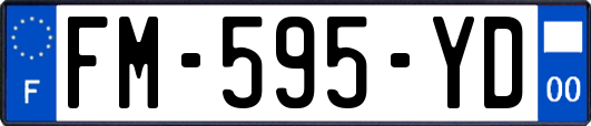 FM-595-YD