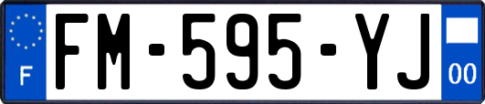 FM-595-YJ