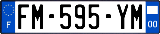 FM-595-YM