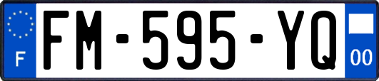 FM-595-YQ