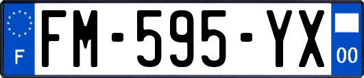 FM-595-YX