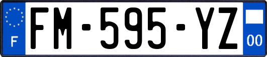 FM-595-YZ
