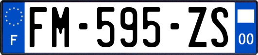 FM-595-ZS