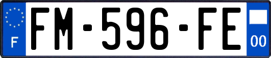 FM-596-FE