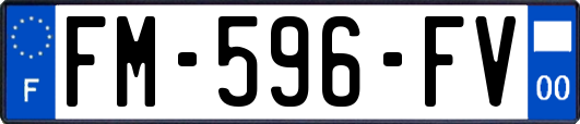 FM-596-FV
