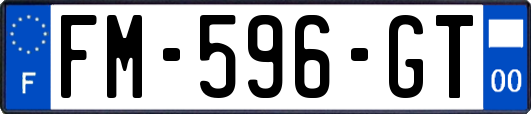 FM-596-GT