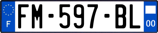 FM-597-BL