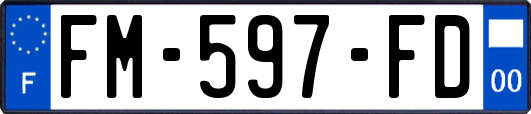 FM-597-FD