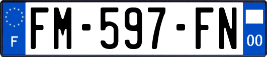 FM-597-FN