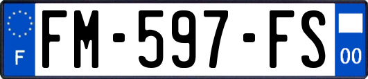 FM-597-FS