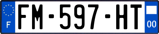 FM-597-HT