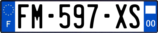 FM-597-XS