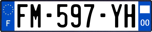 FM-597-YH