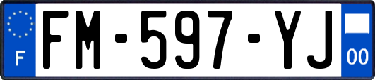 FM-597-YJ