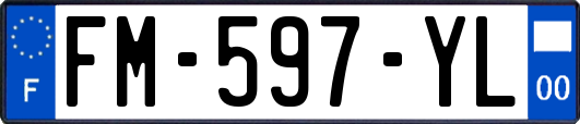 FM-597-YL