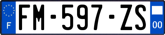 FM-597-ZS