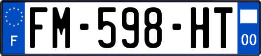 FM-598-HT