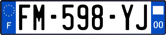 FM-598-YJ