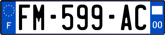 FM-599-AC