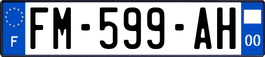 FM-599-AH