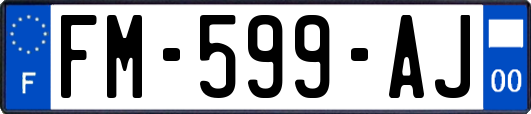 FM-599-AJ