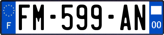 FM-599-AN