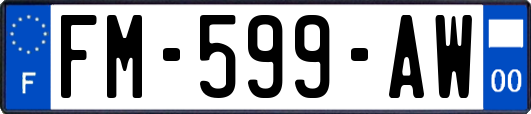 FM-599-AW