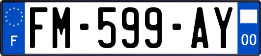 FM-599-AY