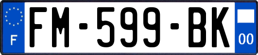 FM-599-BK