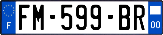 FM-599-BR