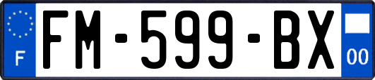 FM-599-BX