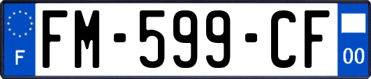 FM-599-CF