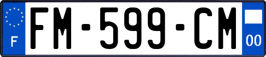 FM-599-CM