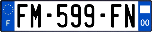 FM-599-FN